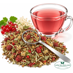Tisane Queues de cerise et Groseilles