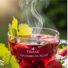 TISANE LES JAMBES DE PÉGASE - feuilles de vigne et fruits rouges