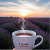 TISANE POUR LE SOIR