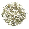 Thé rare 1st Flush Jun Chiyabari - Thé Oolong