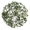 Thé rare Sencha MIZUKI BIO - Thé vert Japonnais