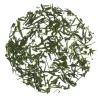 Thé rare Sencha MIZUKI - Thé vert Japonnais