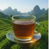 Thé vert "L'Eveil des Brumes" - Vert Chine Prémium