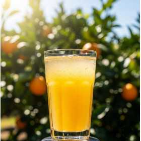 Infusion fruitée Cocon d'agrumes - Saveur orangeade