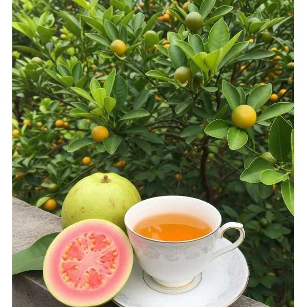 Thé vert goyave & Kalamansi