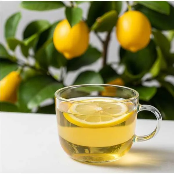 Thé vert Sencha Citron