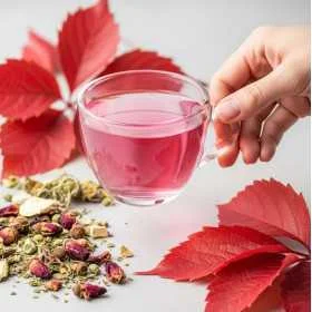 Tisane Volup'Thé Jambes - Feuilles de vigne, fruits rouges - Sans théine
