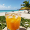 Infusion Fraise, Ananas et Mangue