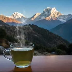 Thé rare Himalayan FTGFOP1 Orange Hill 1st Flush - Thé Oolong