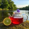 Rooibos Bergamote – Sans Théine