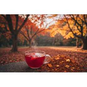 Rooibos L'hermine gourmande - Un voyage gourmand dans votre tasse