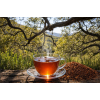 Rooibos Nature - L’infusion sud-africaine authentique