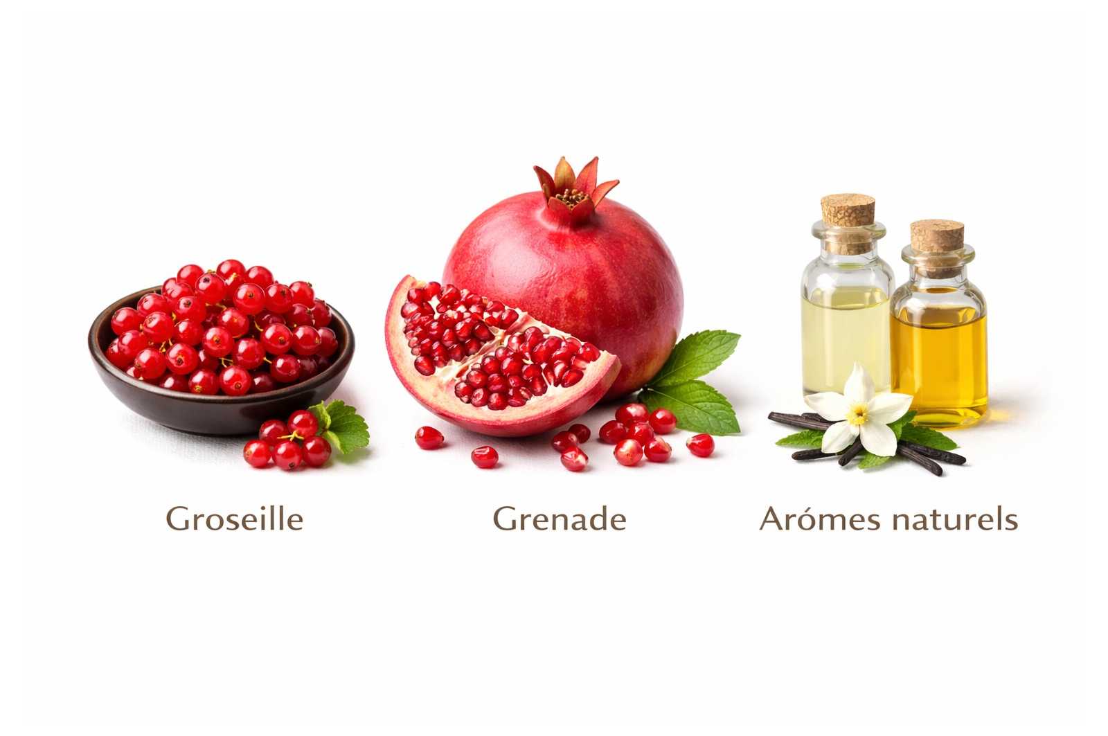 Maté Tango - Une infusion élégante aux fruits rouges