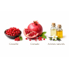 Maté Tango - Une infusion élégante aux fruits rouges
