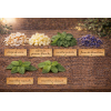 Infusion glacée menthe - Sachet de 100g - Saveur 3 menthes pour une sensation de pure fraîcheur : Infusion glacée menthe