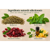 Rooibos vert Kruger