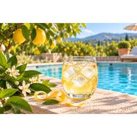 Infusion Limonade – Une création fruitée et acidulée à découvrir sur Voila-les-thes.com